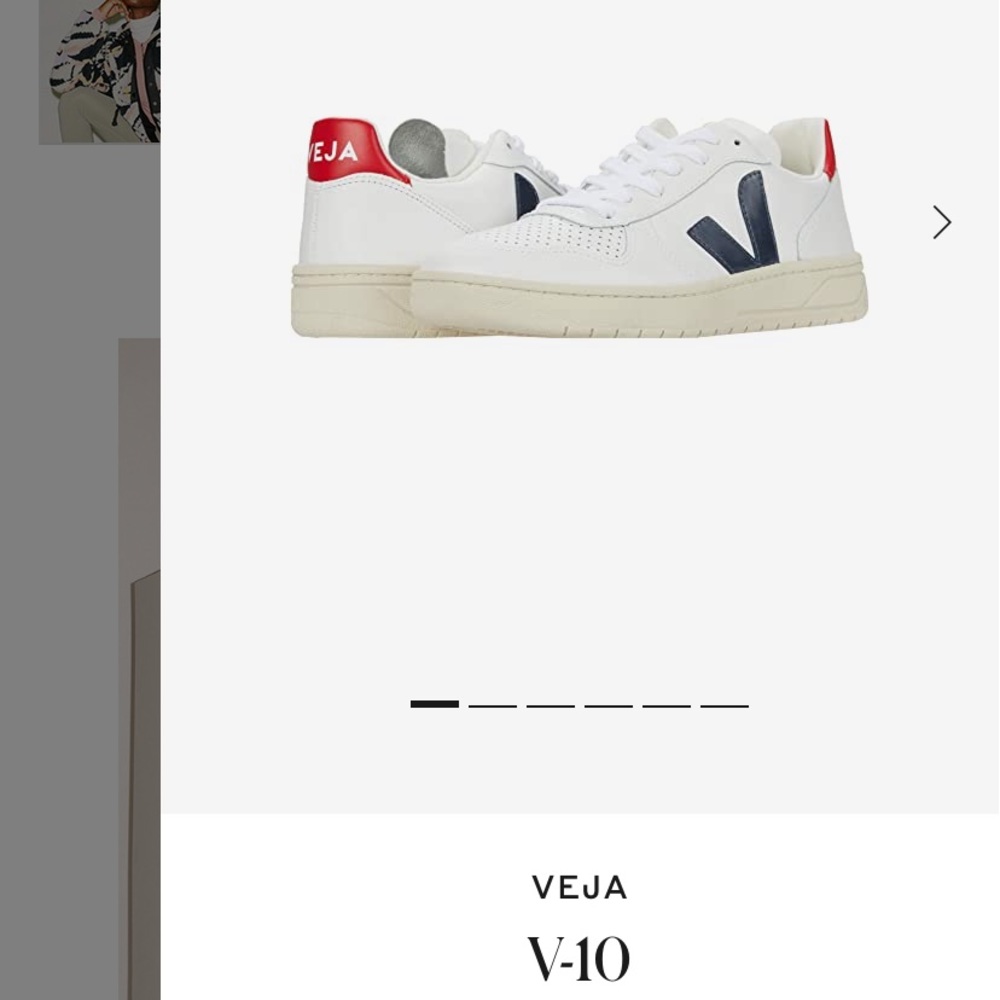 New Veja sneakers